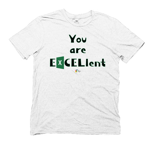 Excel Spreadsheet T Shirt You Are EXCELlent Organic Cotton